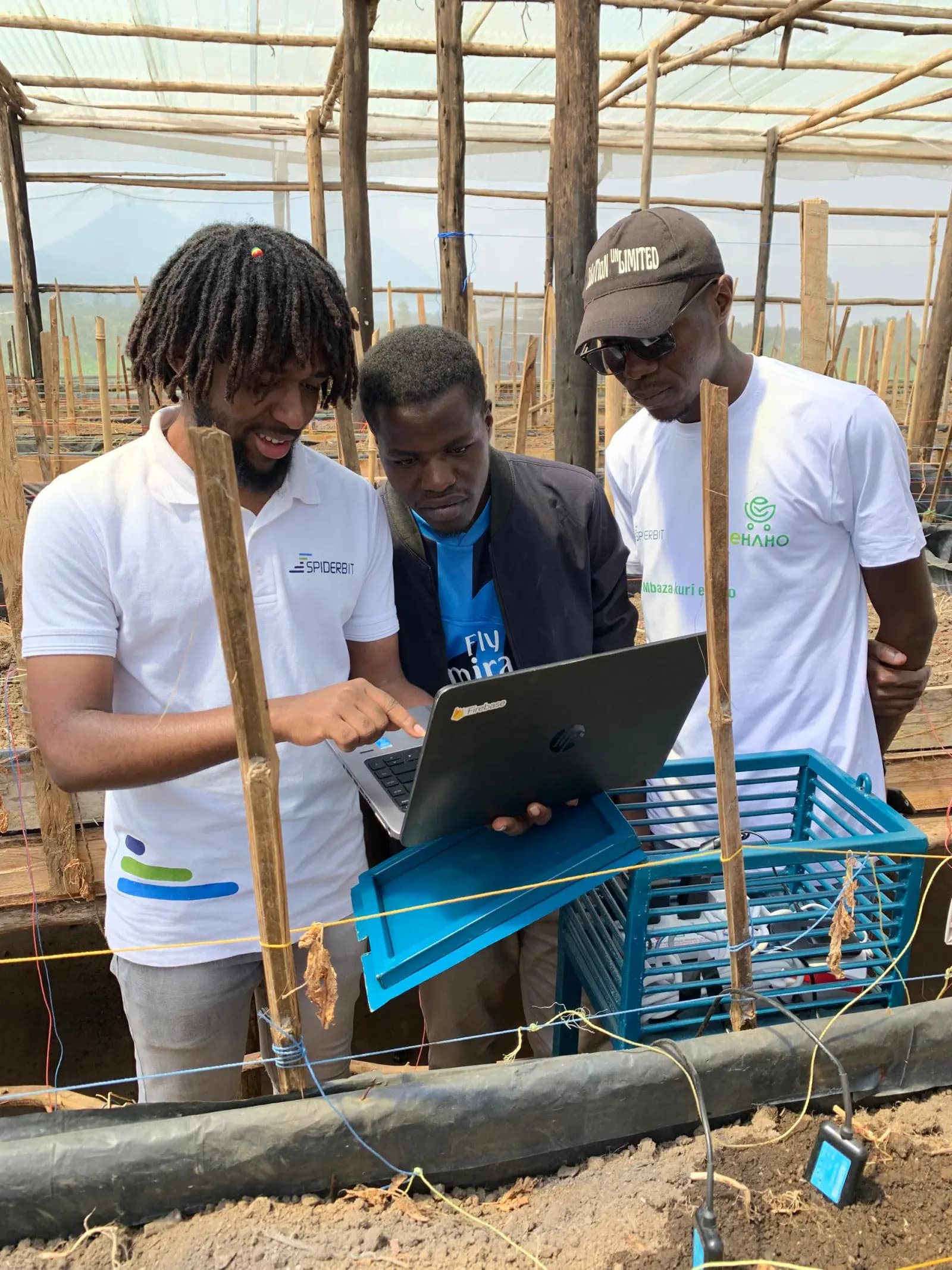 Spiderbit team configuring sensors in a greenhouse