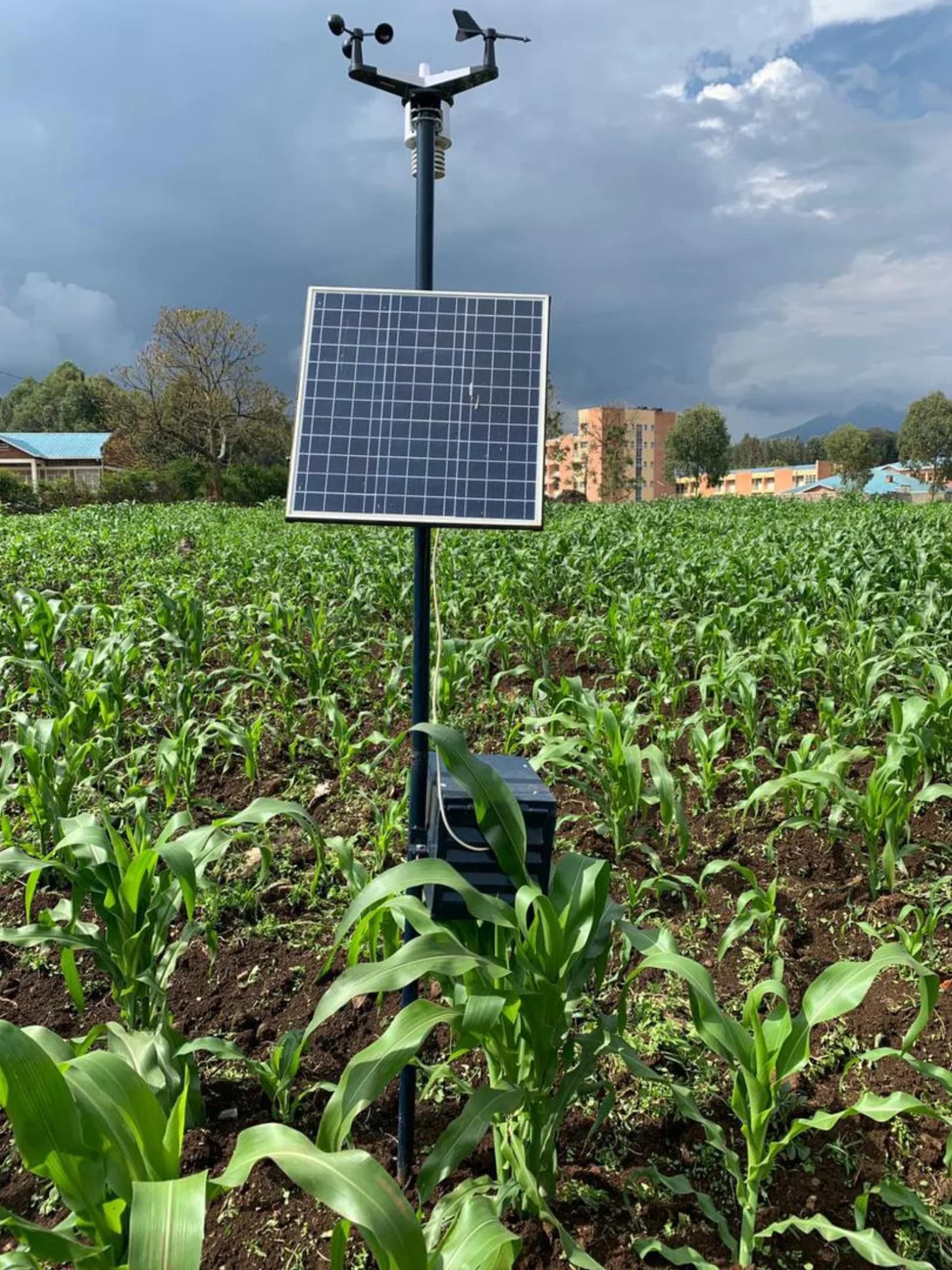 Outdoor Farming